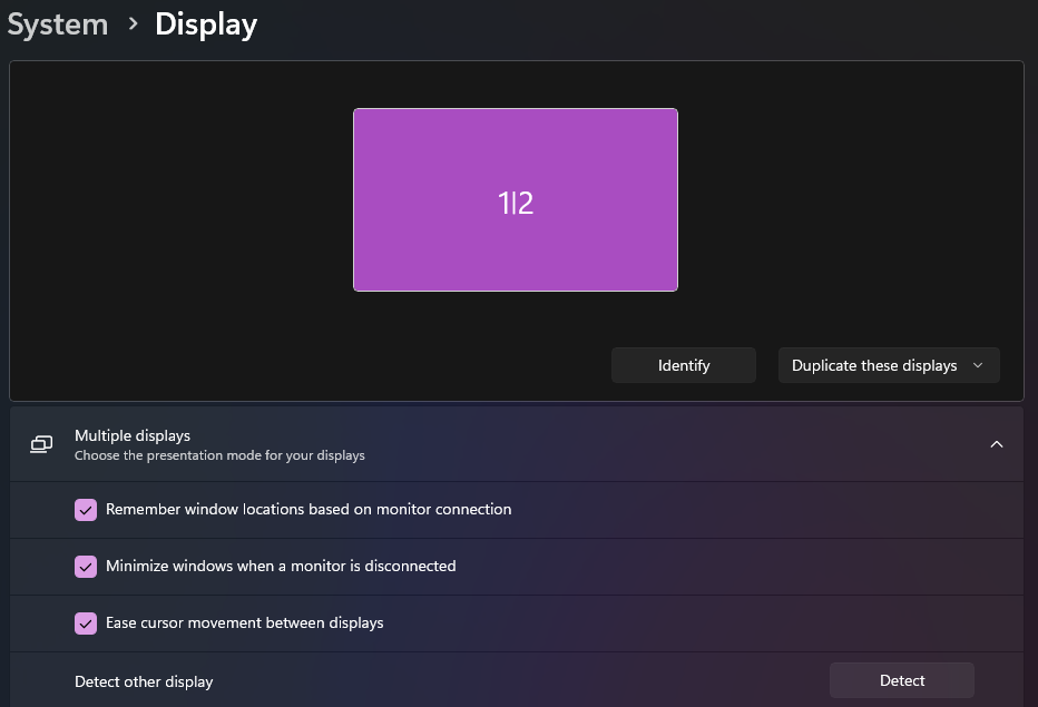 Example of duplicating displays